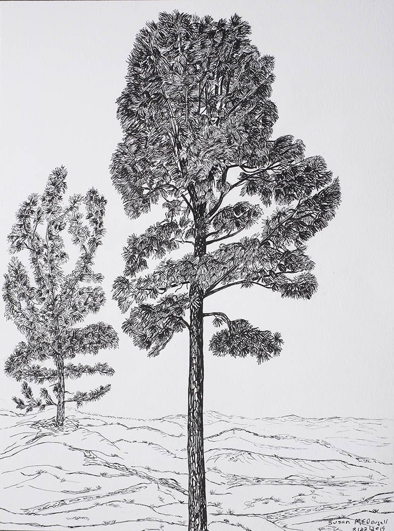 flamastry do szkicowania mają różne grubości końcówek i stonowane kolory kolorowe pisaki do artystycznego szkicowania na papierze